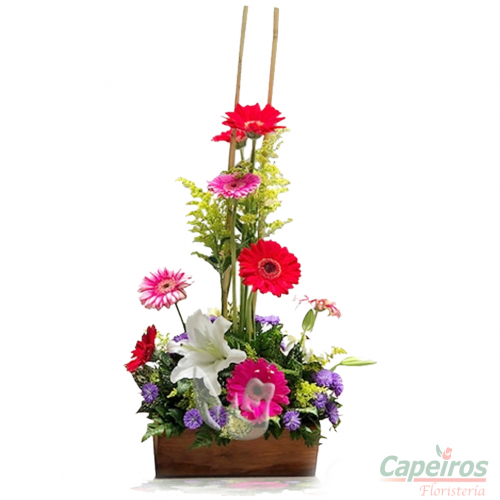 Primaverales 056