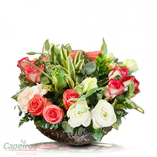 Primaverales 054