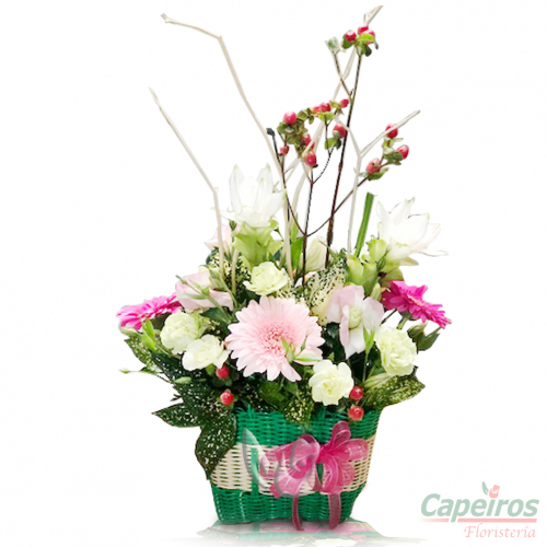 Primaverales 051