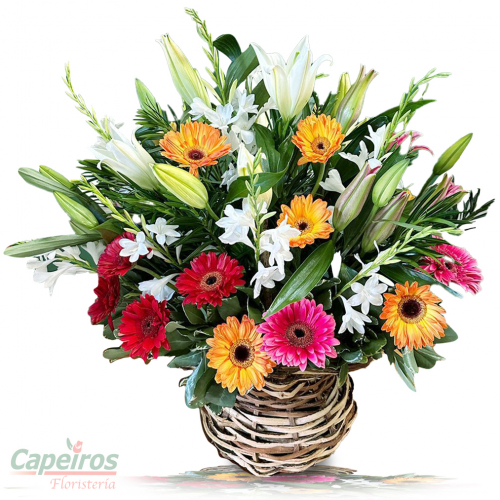 Primaverales 134