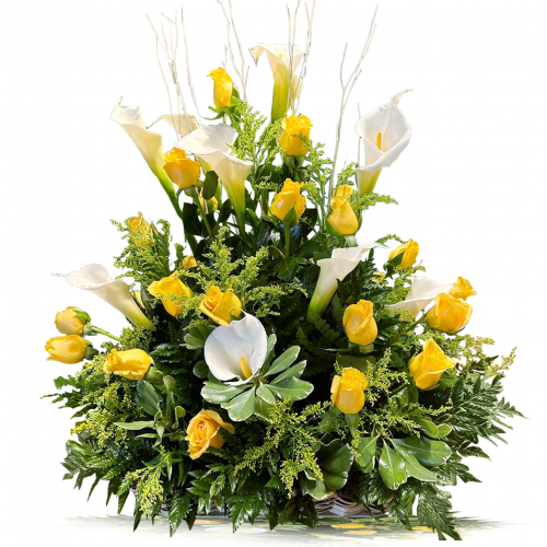 Rosas 159