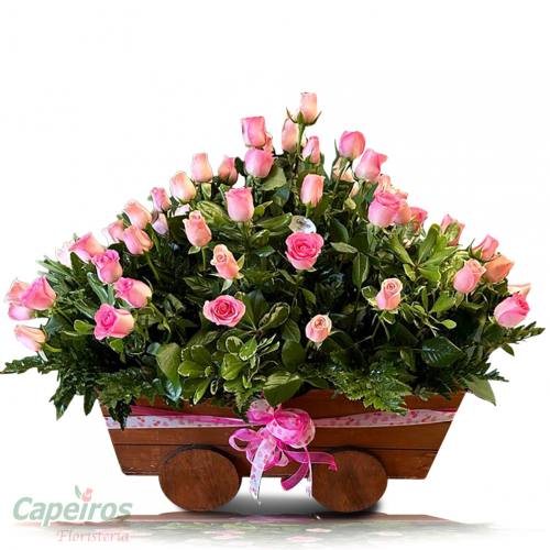 Rosas 156