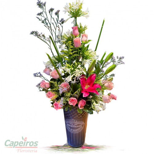 Rosas 158