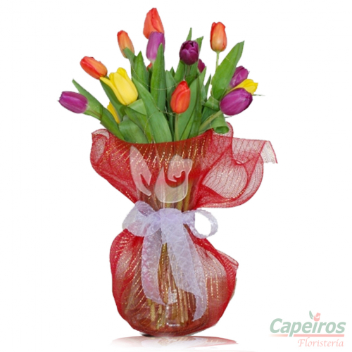 Tulipanes 11 (12 tulipanes)