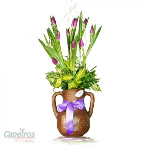 Tulipanes 13