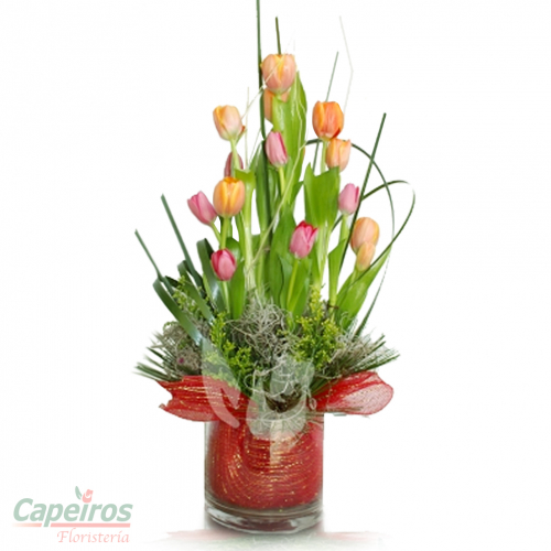 Tulipanes 20 (12 tulipanes)