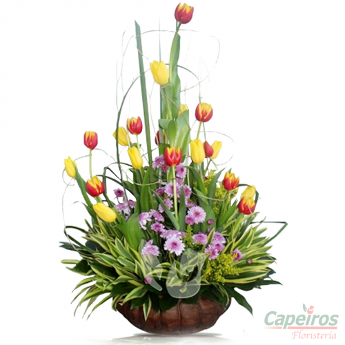 Tulipanes 21 (17 tulipanes)