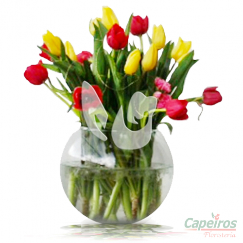 Tulipanes 23