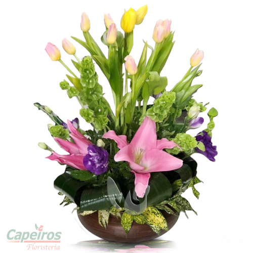 Tulipanes 28 (12 tulipanes)