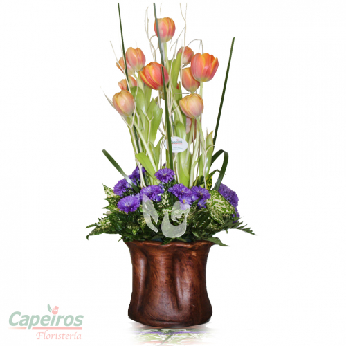 Tulipanes 39 (9 Tulipanes)