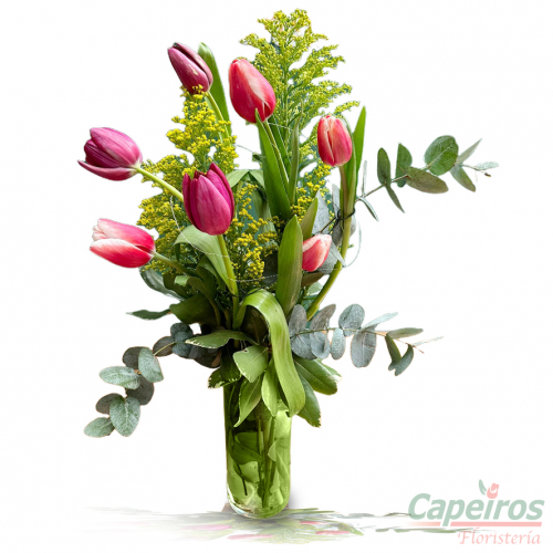 Tulipanes 51 (7 Tulipanes)