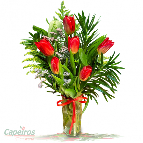Tulipanes 54 (6 Tulipanes)