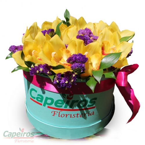 Caja de Orquideas 1