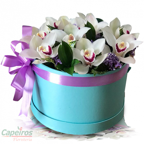 Caja de Orquideas 3