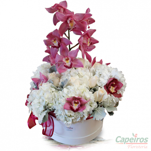 Caja de Orquideas 4
