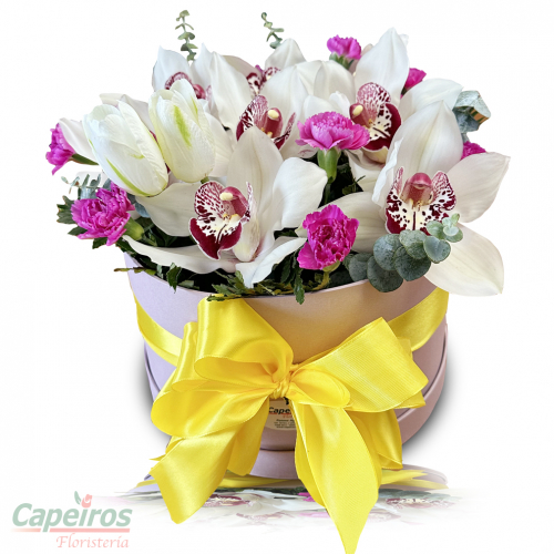 Caja de Orquideas 5