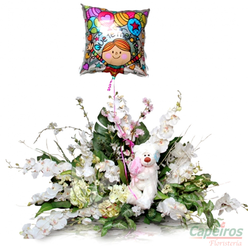 Orquideas 02
