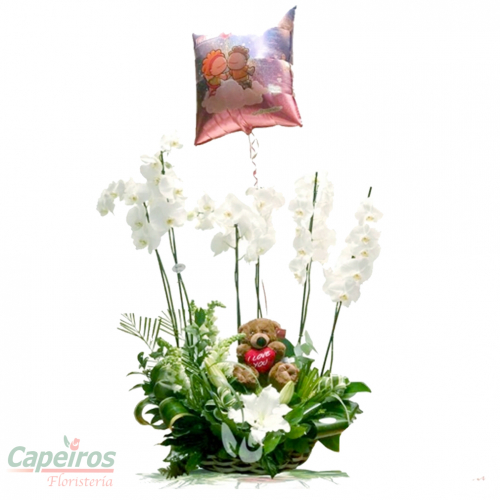 Orquideas 16