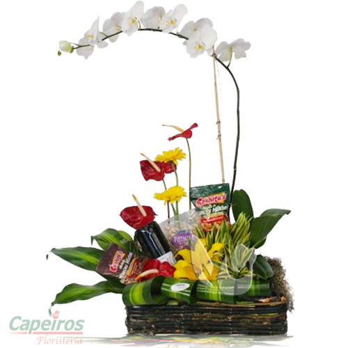 Orquideas 19