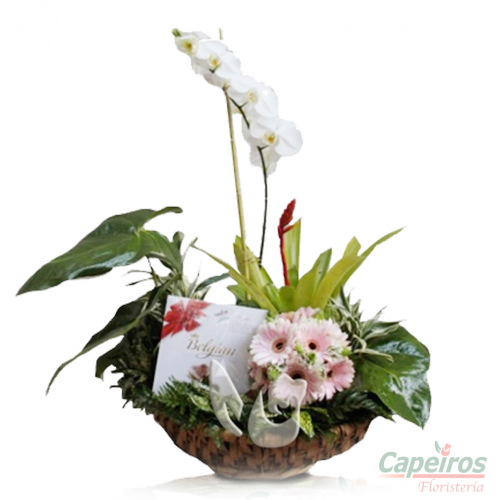 Orquideas 23
