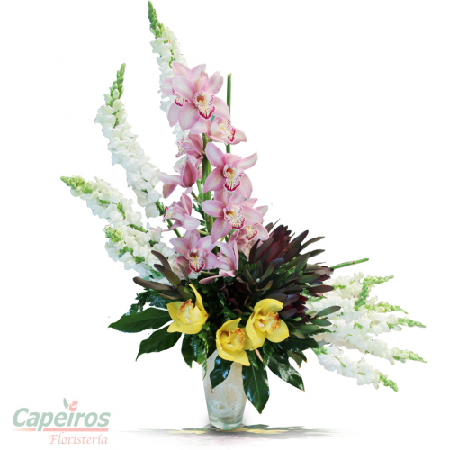 Orquideas 27