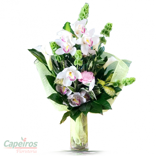 Orquideas 31