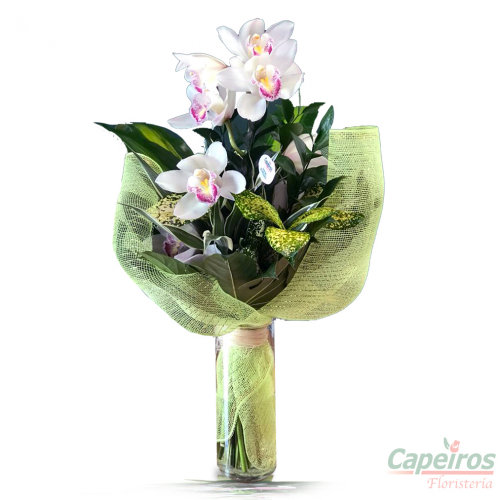 Orquideas 32