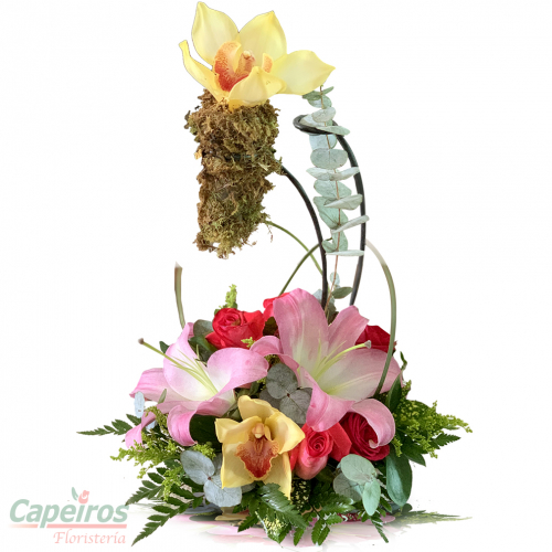 Orquideas 42