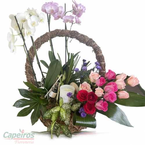 Orquideas 50