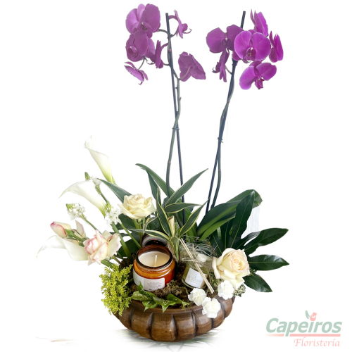 Orquideas 51
