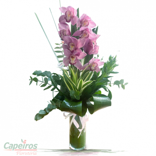 Orquideas 61