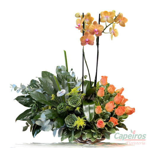 Orquideas 63