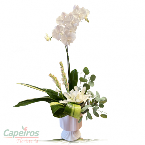Orquideas 64