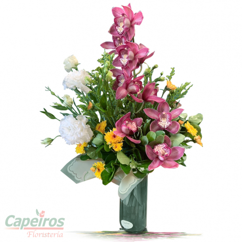 Orquideas 66