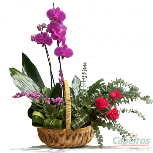 Orquideas 67