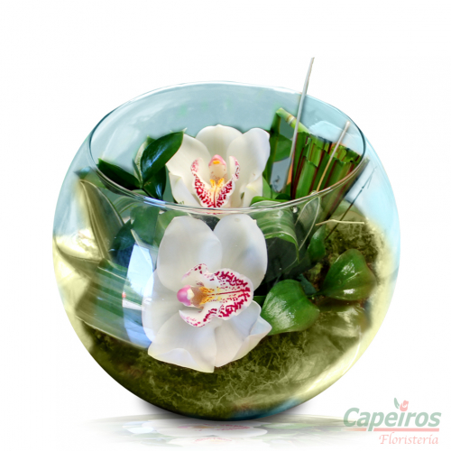 Pecera con Orquideas