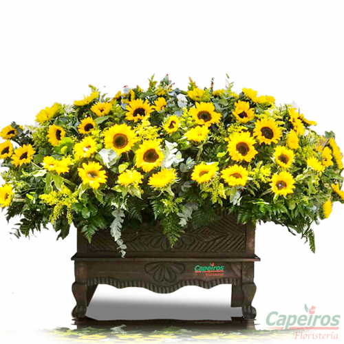 Baúl de Girasoles