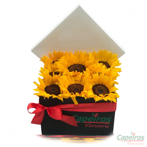 Caja de Girasoles 01
