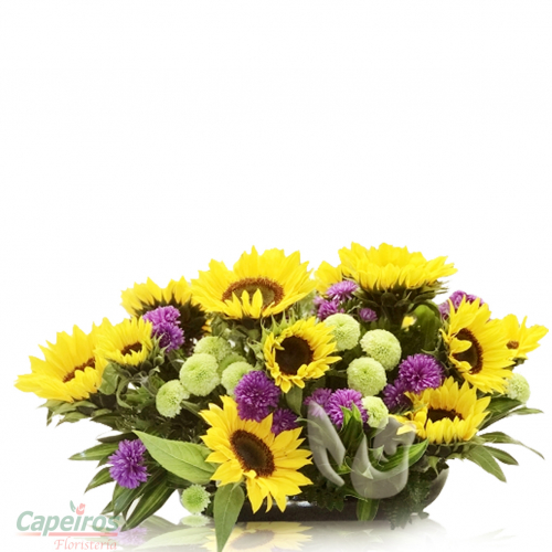Girasoles 02