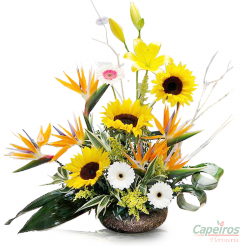 Girasoles 04