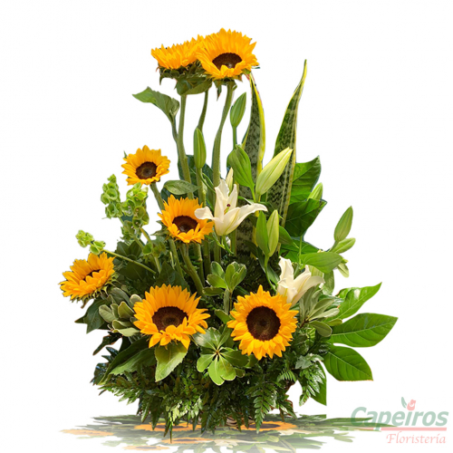 Girasoles 09
