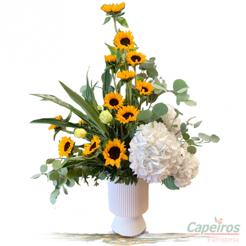Girasoles 10