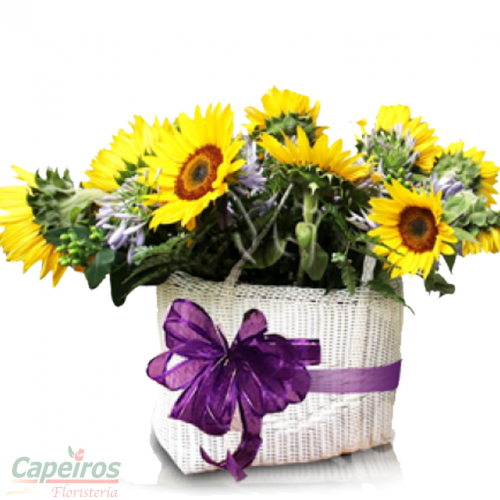 Girasoles 12