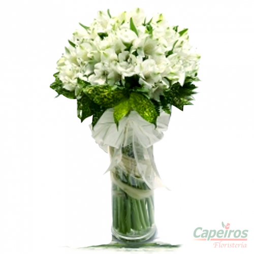 Primaverales 019