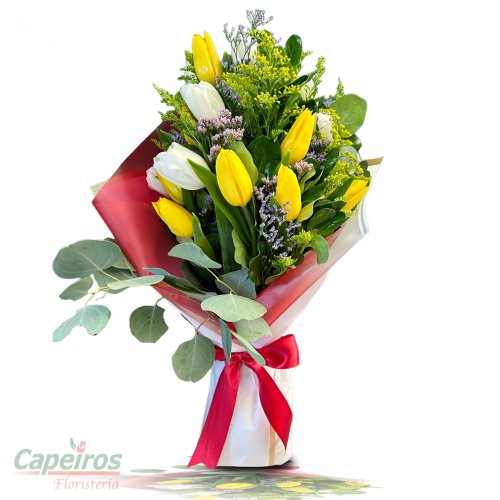 Tulipanes 56 (12 Tulipanes)