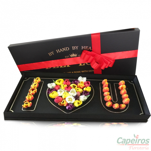 Caja de Tulipanes 2  (24 Tulipanes)