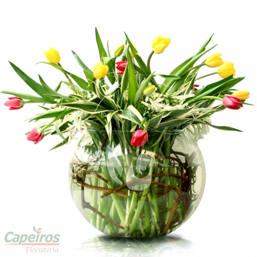 Tulipanes 07  (12 Tulipanes)