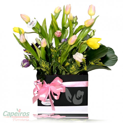 Caja de Tulipanes 1 (18 tulipanes)