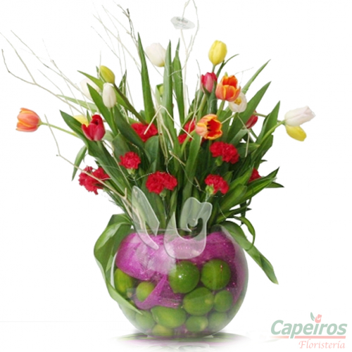 Tulipanes 19 (13 tulipanes)