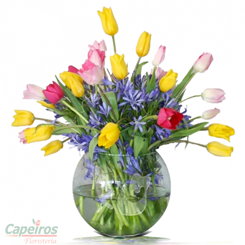 Tulipanes 12 (22 tulipanes)
